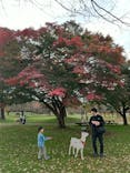 伊香保グリーン牧場に投稿された画像（2024/11/18）