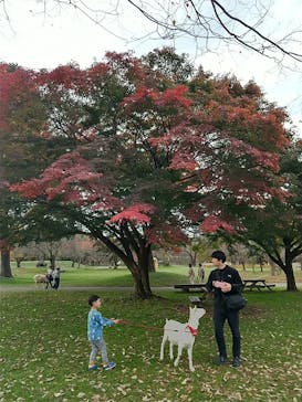 伊香保グリーン牧場に投稿された画像（2024/11/18）