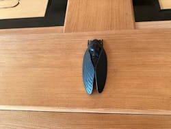 浜離宮恩賜庭園に投稿された画像（2024/11/18）