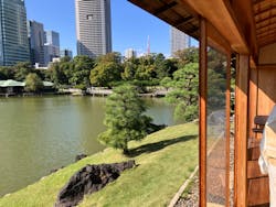 浜離宮恩賜庭園に投稿された画像（2024/11/18）