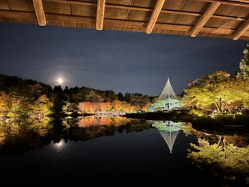 国営昭和記念公園 秋の夜散歩に投稿された画像（2024/11/18）