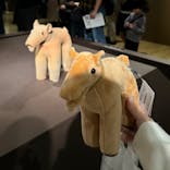 挂甲の武人 国宝指定50周年記念 特別展「はにわ」@東京国立博物館 平成館に投稿された画像（2024/11/18）