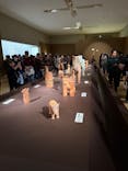挂甲の武人 国宝指定50周年記念 特別展「はにわ」@東京国立博物館 平成館に投稿された画像（2024/11/18）