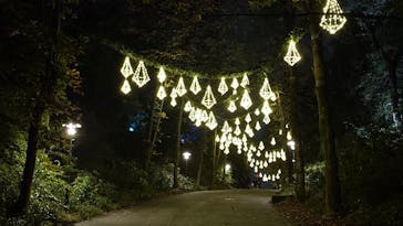 ムーミンバレーパークに投稿された画像（2024/11/18）