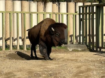 東武動物公園に投稿された画像（2024/11/18）