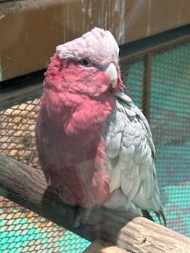 東武動物公園に投稿された画像（2024/11/18）