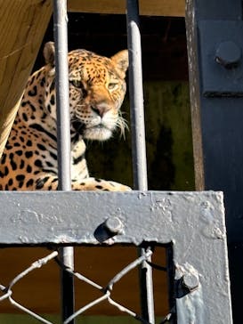 東武動物公園に投稿された画像（2024/11/18）