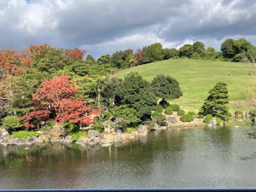 万博記念公園に投稿された画像（2024/11/18）