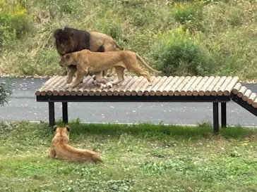 多摩動物公園に投稿された画像（2024/11/18）
