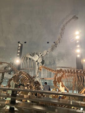 福井県立恐竜博物館に投稿された画像（2024/11/18）