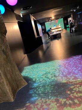 リトルプラネット KITE MITE MATSUDOに投稿された画像（2024/11/18）