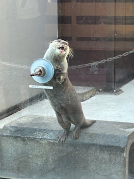 横浜・八景島シーパラダイスに投稿された画像（2024/11/18）