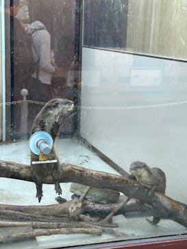 横浜・八景島シーパラダイスに投稿された画像（2024/11/18）