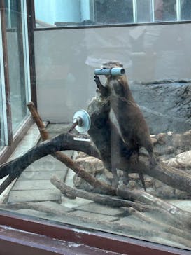 横浜・八景島シーパラダイスに投稿された画像（2024/11/18）