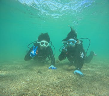 青の洞窟専門店　沖縄ダイビングショップ和に投稿された画像（2024/11/18）