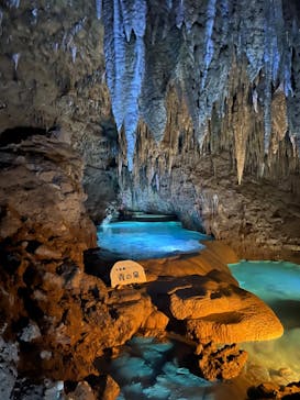 おきなわワールドに投稿された画像（2024/11/18）