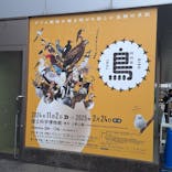 特別展「鳥 ～ゲノム解析が解き明かす新しい鳥類の系統～」国立科学博物館に投稿された画像（2024/11/16）