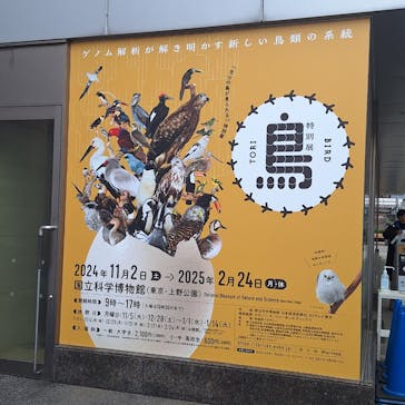 特別展「鳥 ～ゲノム解析が解き明かす新しい鳥類の系統～」国立科学博物館に投稿された画像（2024/11/16）