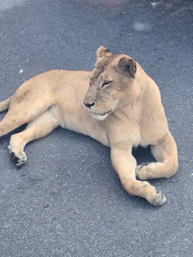 多摩動物公園に投稿された画像（2024/11/18）