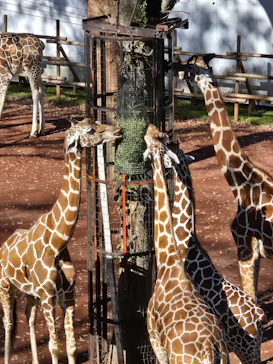 多摩動物公園に投稿された画像（2024/11/18）