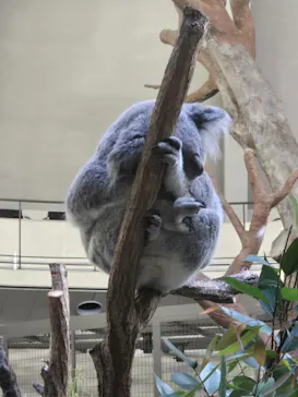 多摩動物公園に投稿された画像（2024/11/18）