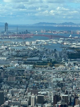 ハルカス300(展望台)に投稿された画像（2024/11/18）