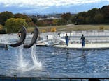 京都水族館に投稿された画像（2024/11/18）