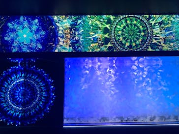 アクアワールド茨城県大洗水族館に投稿された画像（2024/11/18）