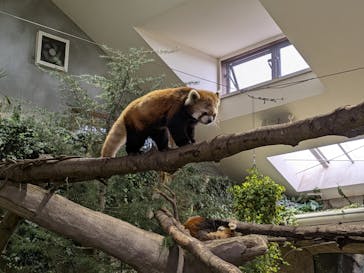 那須どうぶつ王国に投稿された画像（2024/11/18）