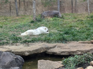 那須どうぶつ王国に投稿された画像（2024/11/18）