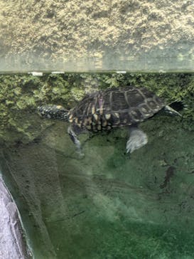 那須どうぶつ王国に投稿された画像（2024/11/18）