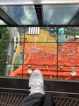 東京タワーに投稿された画像（2024/11/18）