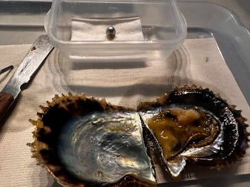 しながわ水族館に投稿された画像（2024/11/18）