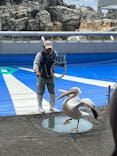 大分マリーンパレス水族館 「うみたまご」に投稿された画像（2024/11/18）