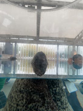 京都水族館に投稿された画像（2024/11/18）