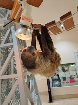 アニタッチららぽーと名古屋みなとアクルスに投稿された画像（2024/11/18）