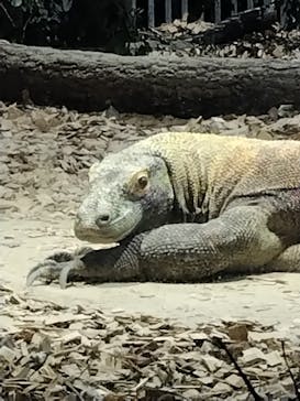 名古屋市東山動植物園に投稿された画像（2024/11/18）