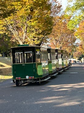 万博記念公園に投稿された画像（2024/11/18）