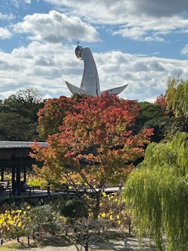 万博記念公園に投稿された画像（2024/11/18）
