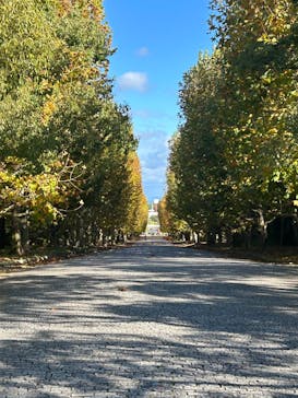 万博記念公園に投稿された画像（2024/11/18）