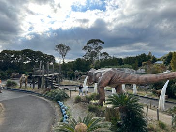 伊豆ぐらんぱる公園に投稿された画像（2024/11/18）