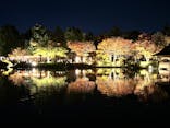 国営昭和記念公園 秋の夜散歩に投稿された画像（2024/11/18）