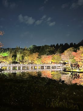 国営昭和記念公園 秋の夜散歩に投稿された画像（2024/11/18）
