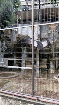 名古屋市東山動植物園に投稿された画像（2024/11/18）