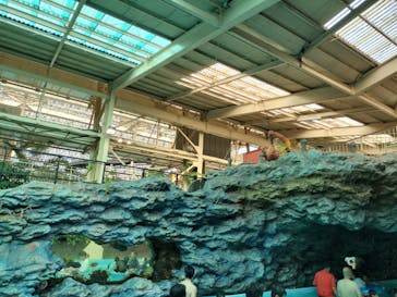 スパリゾートハワイアンズに投稿された画像（2024/11/18）