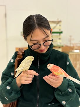 Moff animal world BIGHOPガーデンモール印西店に投稿された画像（2024/11/18）