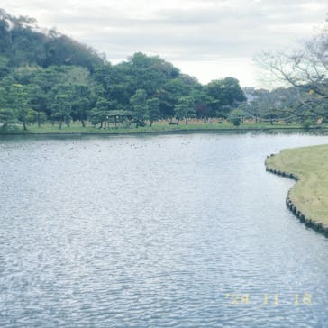 三溪園に投稿された画像（2024/11/18）