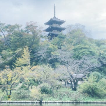 三溪園に投稿された画像（2024/11/18）