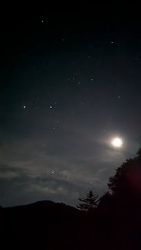 大井川鐵道株式会社に投稿された画像（2024/11/18）