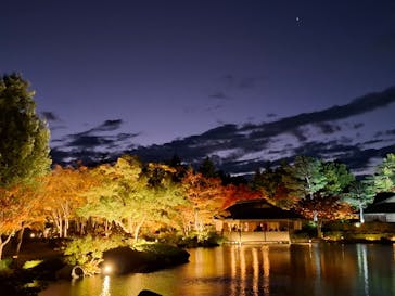 国営昭和記念公園 秋の夜散歩に投稿された画像（2024/11/18）